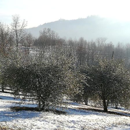 Sotto La Luna Bruna B&B Cocconato Екстер'єр фото