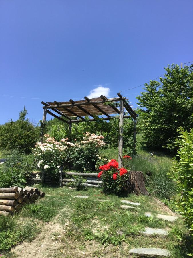 Sotto La Luna Bruna B&B Cocconato Екстер'єр фото