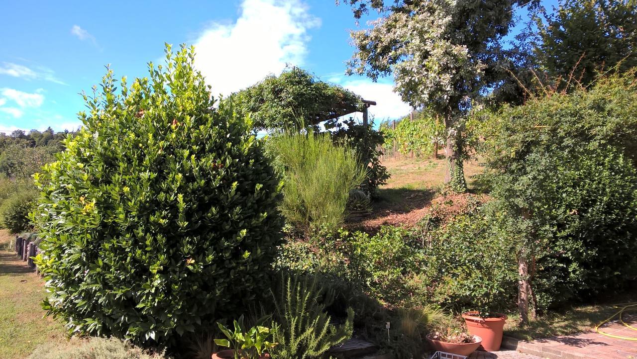 Sotto La Luna Bruna B&B Cocconato Екстер'єр фото