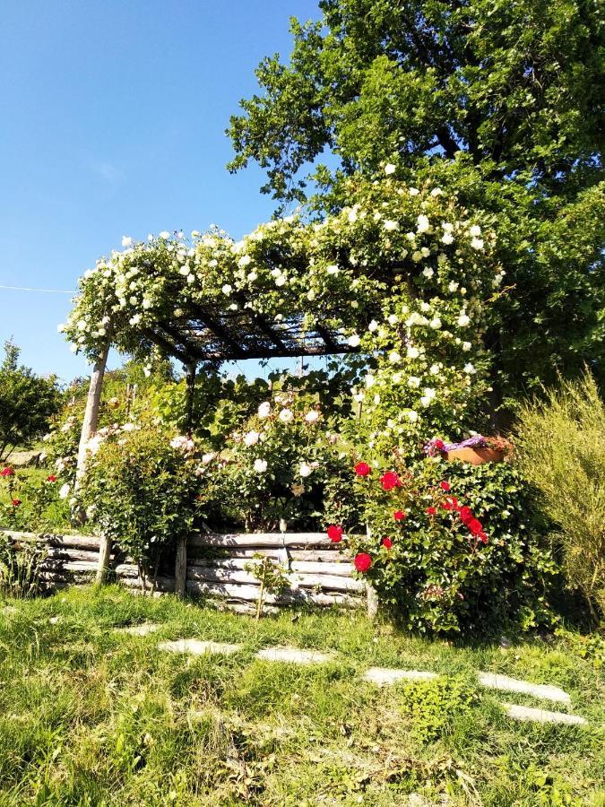 Sotto La Luna Bruna B&B Cocconato Екстер'єр фото